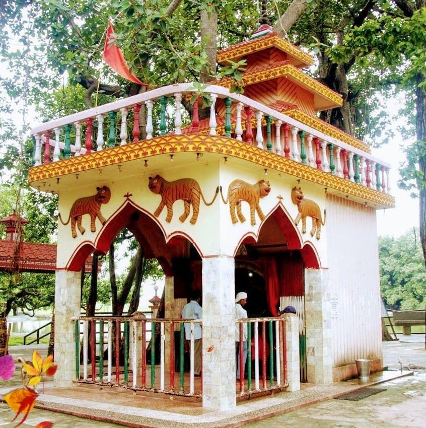 Festival Image